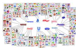 the illusion of choice